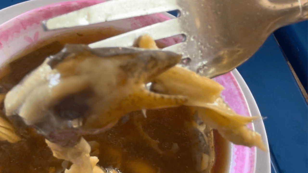 eating bakasi, we can see a eel's head