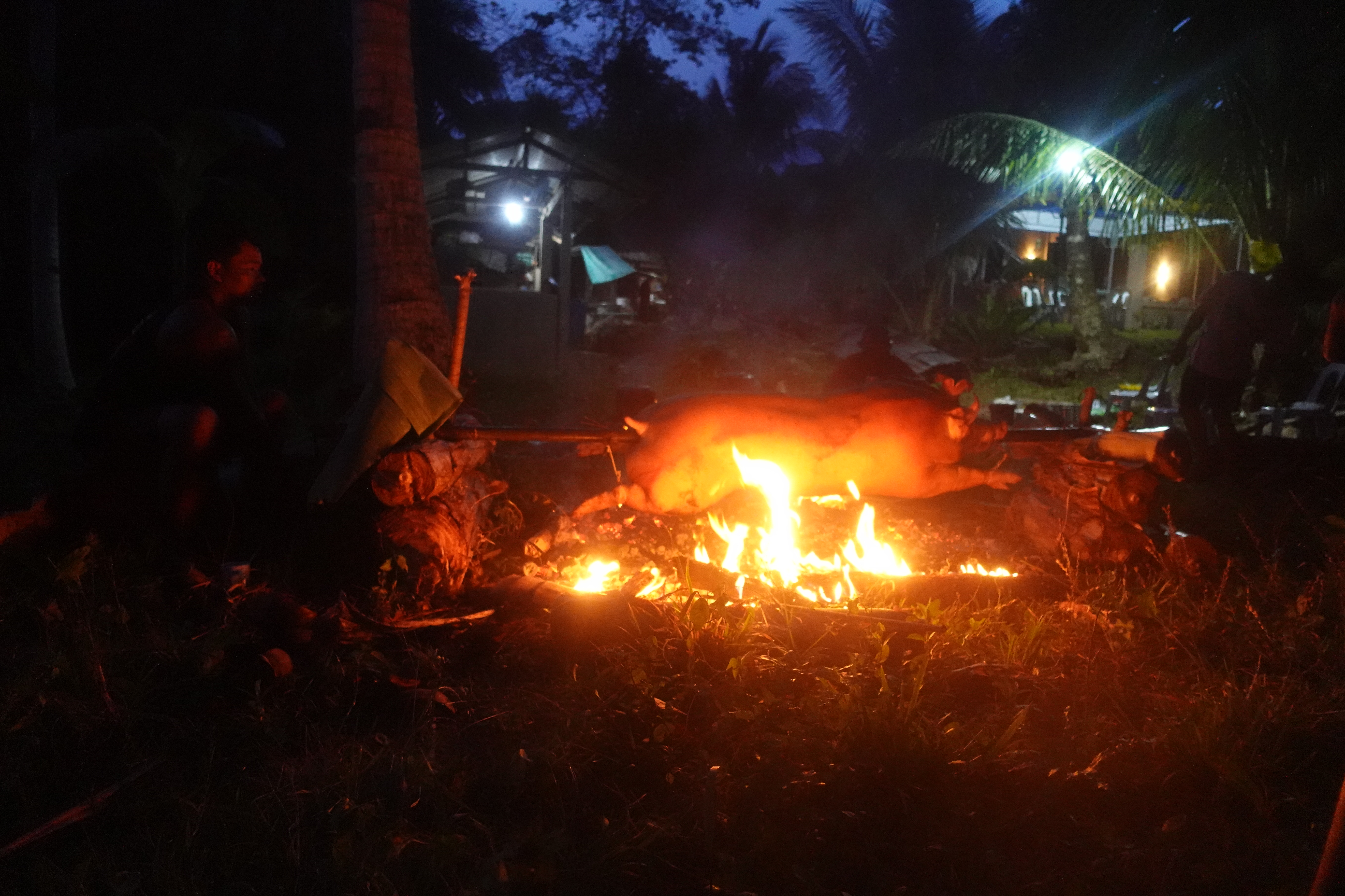 Whole lechon rotating on a spit over open charcoal fire at pre-dawn, Can-ibuang fiesta