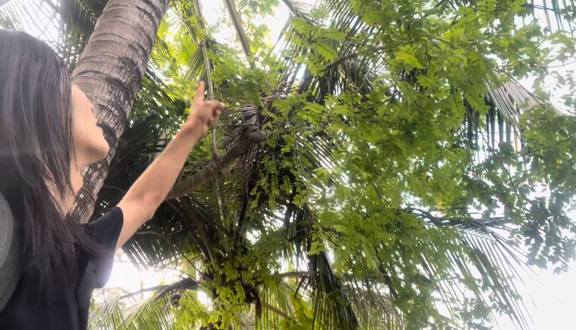 a guy looking confused in front on a coconut tree in Argao, Cebu