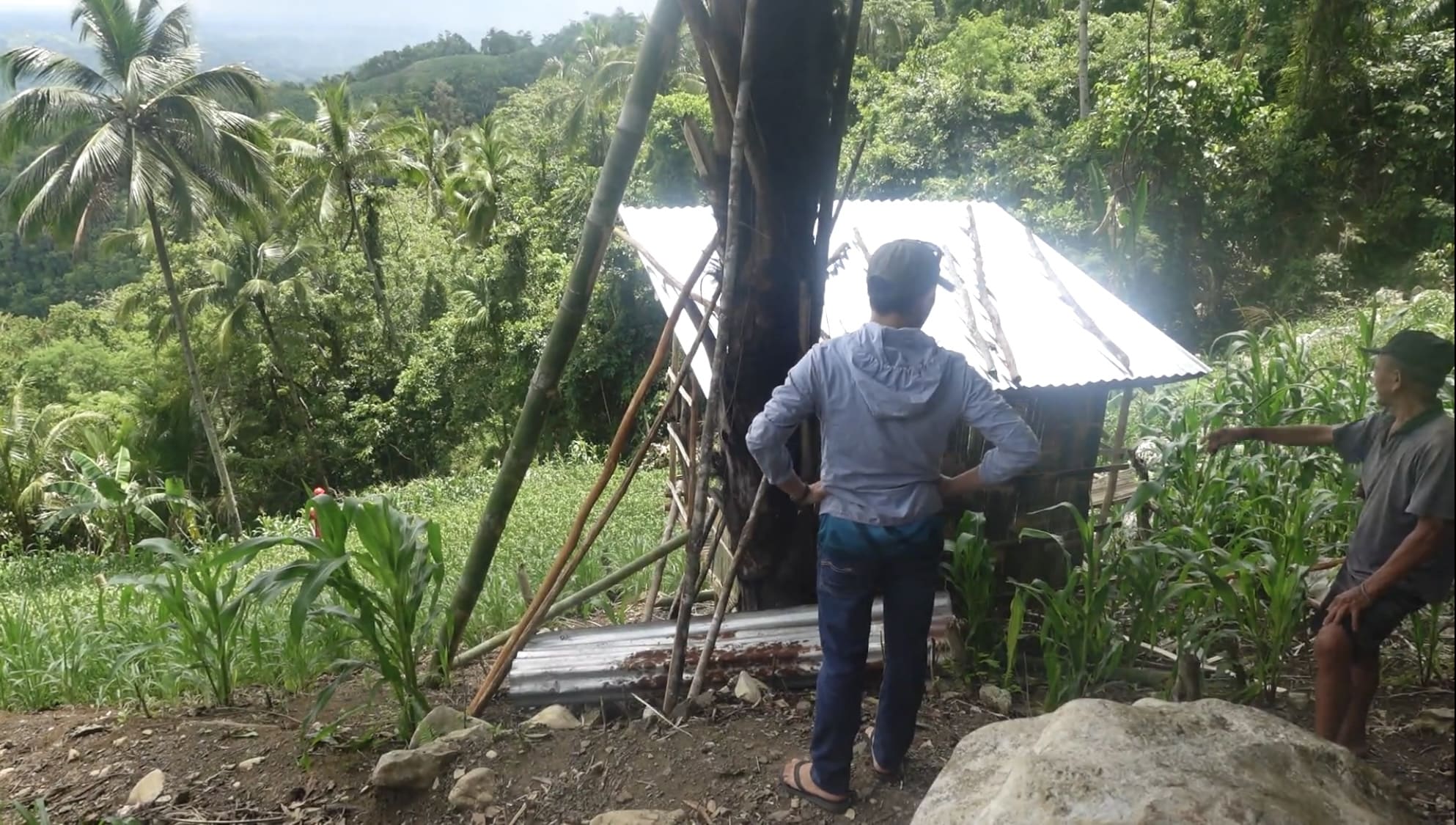 Man standing with a farmer in a cassava field in Catmon, Cebu