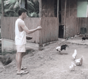 A man standing near the chickens