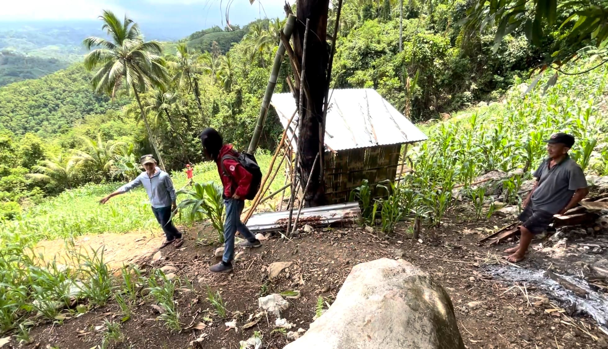 A man pointing out a kabog plant to another man in a mountain field