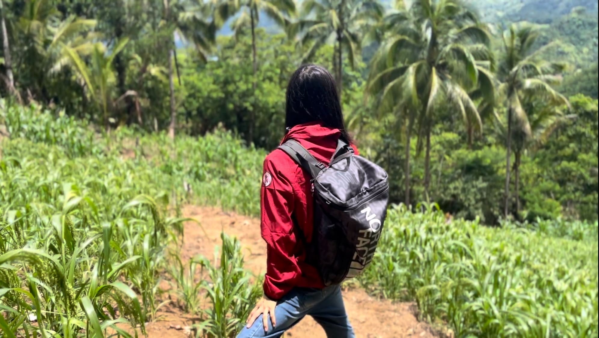 A man looking back at a kabog field with mountains in the background
