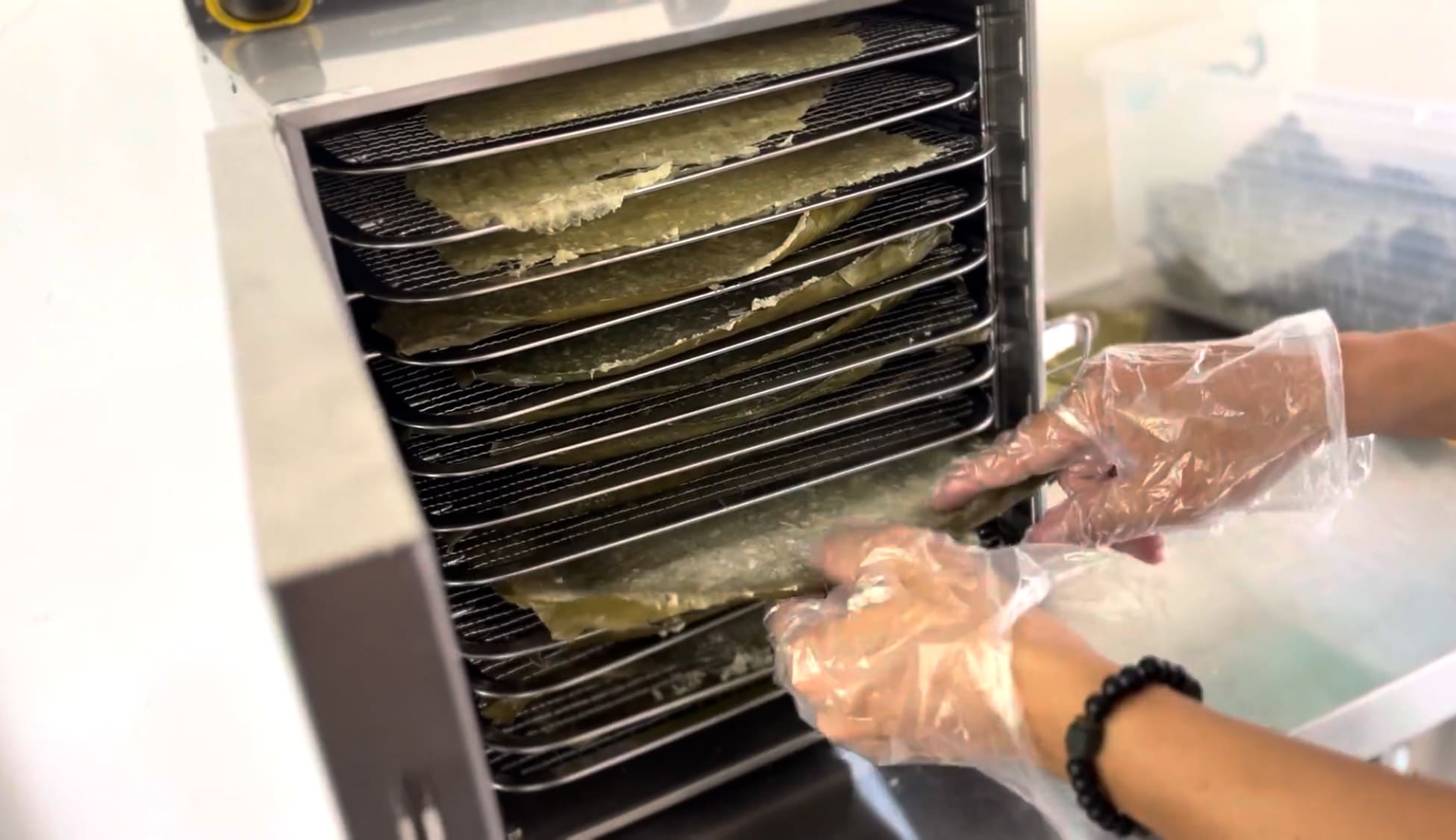 Cassava chips spread inside a dehydrator at a processing facility